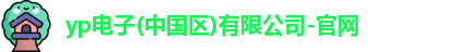 yp电子